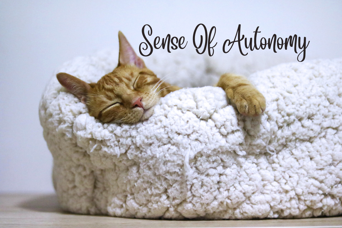 SENS OF AUTONOMY - SLEEP BLOG Better Sleep