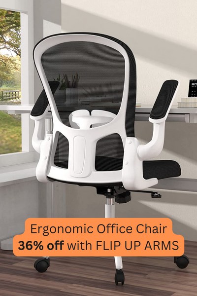 Ergonomic Chair Remote Work