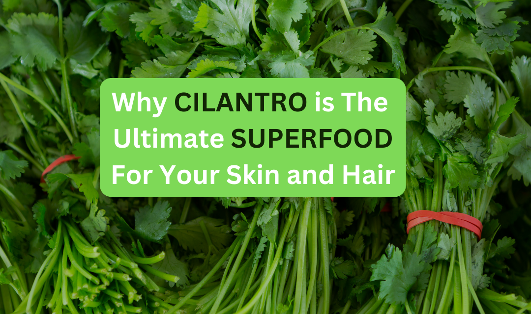 Cilantro Benefits for Skin: Why Cilantro Is the Ultimate Superfood for Your Skin and Hair