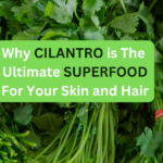 Cilantro Benefits for Skin: Why Cilantro Is the Ultimate Superfood for Your Skin and Hair