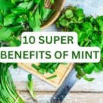 From Fresh Breath to Stress Relief: 10 Super Benefits of Mint You’ll Love