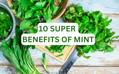 From Fresh Breath to Stress Relief: 10 Super Benefits of Mint You’ll Love