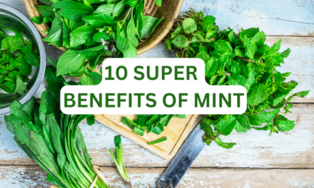 From Fresh Breath to Stress Relief: 10 Super Benefits of Mint You’ll Love