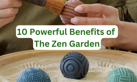 Benefits of The Zen Garden, The Ultimate Stress Reliever