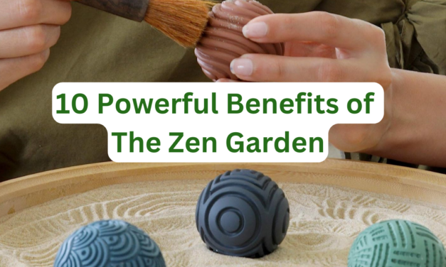 Benefits of The Zen Garden, The Ultimate Stress Reliever