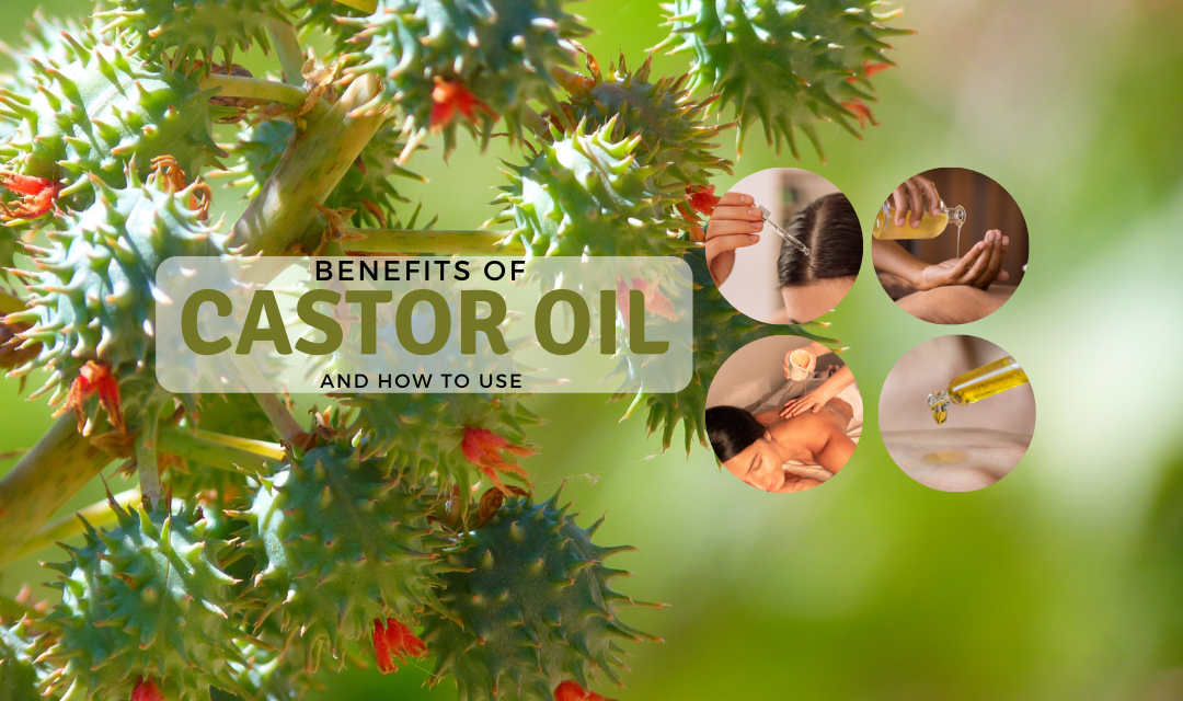 The Benefits of Castor Oil And How To Use