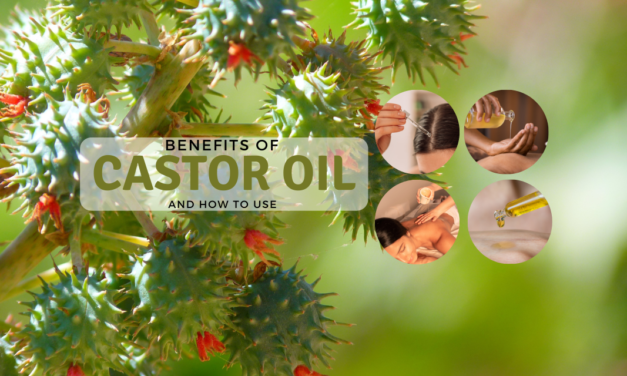 The Benefits of Castor Oil And How To Use