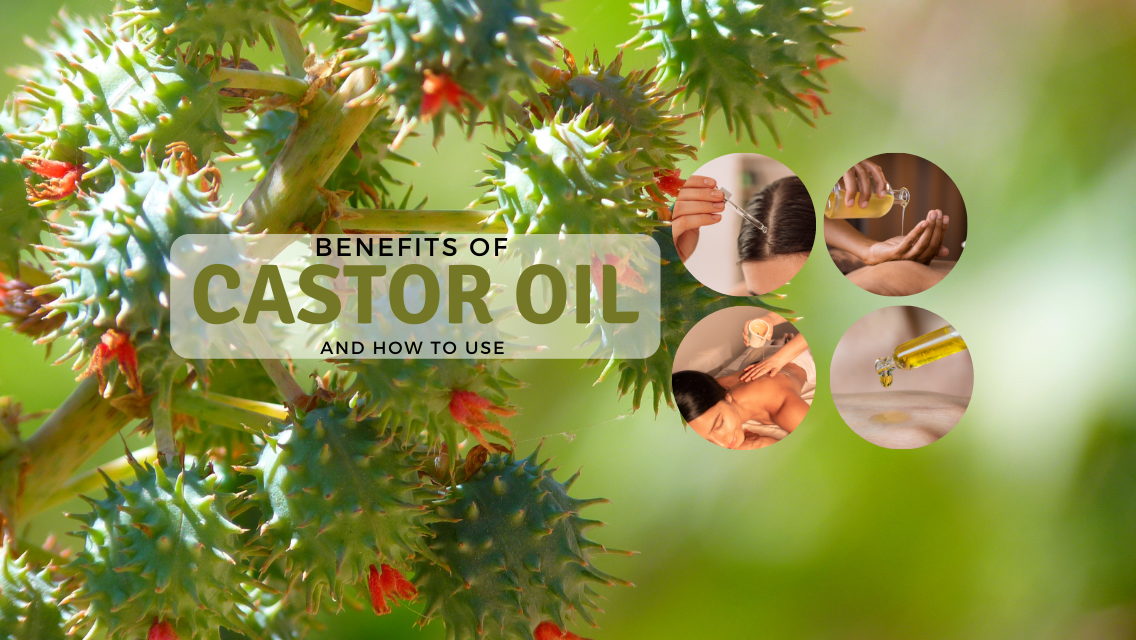 The Benefits of Castor Oil And How To Use